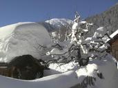 winter-snow-cold-winter-s-day-201350.jpg