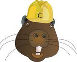 animal-beaver-cartoon-castor-wood-1293002.svg