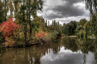 pond-biotope-nature-nature-park-261170.jpg