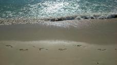 footprints-sand-sun-beach-sea-473978.jpg