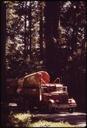 WITHIN_A_MILE_OF_MAGNIFICENT_REDWOODS_ARE_SITES_OF_SOME_OF_THE_WORST_LOGGING_AND_CLEAR_CUTTING_PRACTICES._LUMBER..._-_NARA_-_542854.jpg