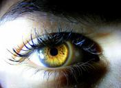 eye-brown-yellow-light-iris-510367.jpg