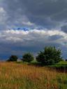 shrubs-green-spring-sky-landscape-1127442.jpg