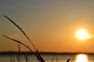 summer-evening-water-sunset-425071.jpg