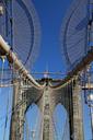 brooklyn-bridge-new-york-bridge-1376113.jpg