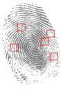 fingerprint-detective-criminal-146242.svg