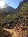 desert-trail-arizona-362502.jpg