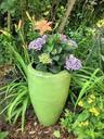 flowerpot-garden-flower-vase-vase-388239.jpg