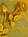 wall-design-flower-metal-gold-old-616903.jpg