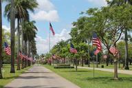 memorial-day-flags-memorial-801122.jpg