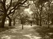 park-charleston-south-carolina-464367.jpg