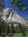 Meadows cliffs sequoia.jpg