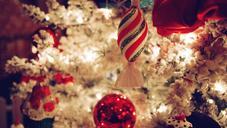 christmas-xmas-decor-holiday-595861.jpg