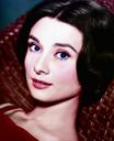 audrey-hepburn-retouch-colorization-1405116.jpg