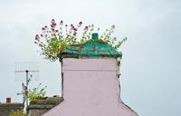 ireland-chimney-fireplace-roof-old-1473881.jpg