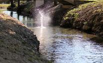 splash-creek-water-nature-river-1539951.jpg