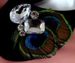 feathers-peacock-crystals-baubles-1137005.jpg