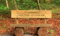 bench-bank-forest-nature-autumn-471789.jpg