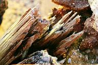 driftwood-wood-old-weathered-433347.jpg