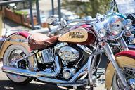 harley-davidson-motorbike-motorcycle-569289.jpg