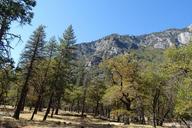 yosemite-national-park-1049429.jpg