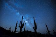 milky-way-stars-night-sky-923738.jpg