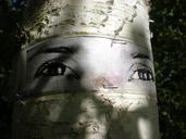 birch-eyes-natural-art-tanto-234557.jpg