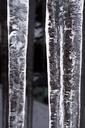 ice-icicle-window-cold-winter-633131.jpg