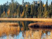 marsh-pond-autumn-nature-outdoor-1581914.jpg