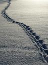 snow-footprints-winter-white-69830.jpg