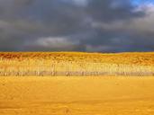 dune-beach-sand-atlantic-coast-1640703.jpg