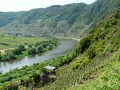 vineyard-steep-slope-winegrowing-56189.jpg