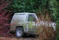 jeep-car-shrubs-expired-235087.jpg