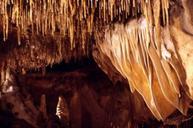 View_of_stalactites_inside_cave_at_the_Florida_Caverns_State_Park:_Marianna,_Florida.jpg