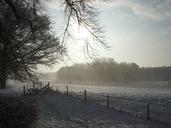 winter-landscape-snow-snowy-1171506.jpg