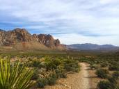 red-rock-canyon-national-park-1405898.jpg