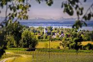 lake-constance-uhldingen-mountains-455341.jpg