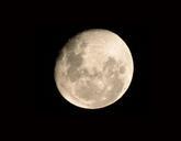 full-moon-moon-night-evening-dark-256006.jpg