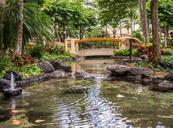 pond-resort-bridge-koi-pond-1008326.jpg