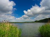 pond-water-clouds-lake-nature-356811.jpg