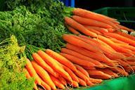 carrots-vegetables-healthy-874981.jpg