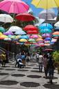 umbrellas-outdoor-colorful-nature-692951.jpg