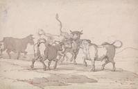 Thomas_Rowlandson_-_A_Group_of_Five_Bulls_about_to_Fight_-_Google_Art_Project.jpg