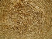 straw-agriculture-grain-crop-field-933791.jpg