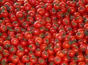 tomatoes-vegetables-red-delicious-73912.jpg