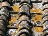 roof-tiles-tuscany-483604.jpg