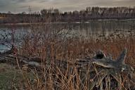 Driftwood-by-North-Saskatchewan-River-Edmonton-Alberta.jpg