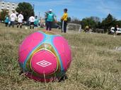 soccer-ball-game-sport-goal-team-183684.jpg