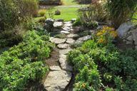 garden-path-country-stone-green-207164.jpg