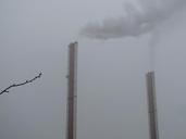 chimney-smoke-steam-fume-fog-tree-212505.jpg